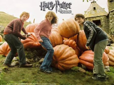 harry potter et ses 2 copagnon